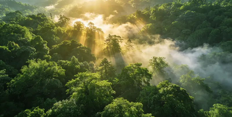 汕头肺癌8基因突变检测（组织）图片1
