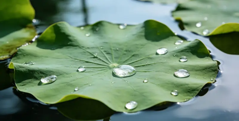 汕头乳腺癌21基因mRNA表达分析图片1